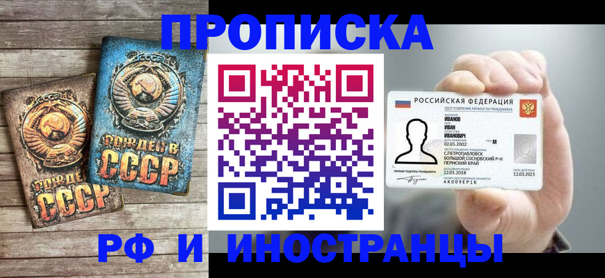 где прописаться в Павловске